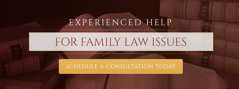Bronx NY Lawyer for Family Law Issues